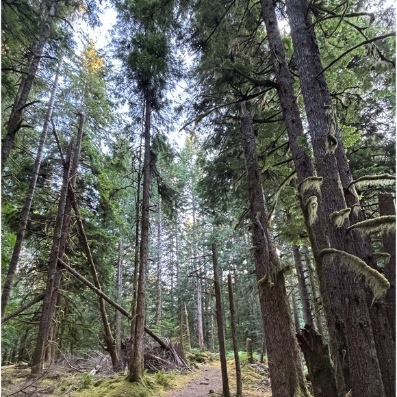 Meet your Posher, Ciara - Picture 2 of 2